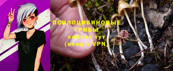 дмт Абинск
